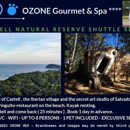 Ozone Gourmet & -